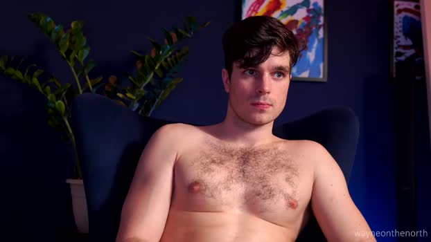 waynenorth 20-02-2025 video oral