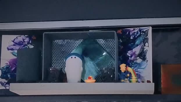 xxxleolustxxx 22-02-2025 video beautiful