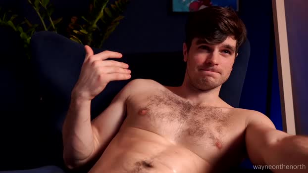 waynenorth 22-02-2025 video beauty