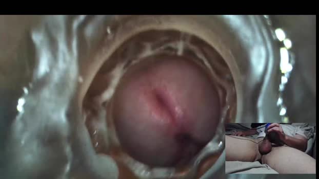 xoxowtf 24-02-2025 video nasty