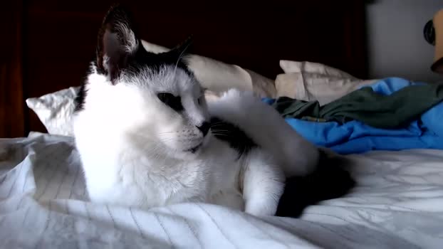 lancehardin 25-02-2025 video jerkoff