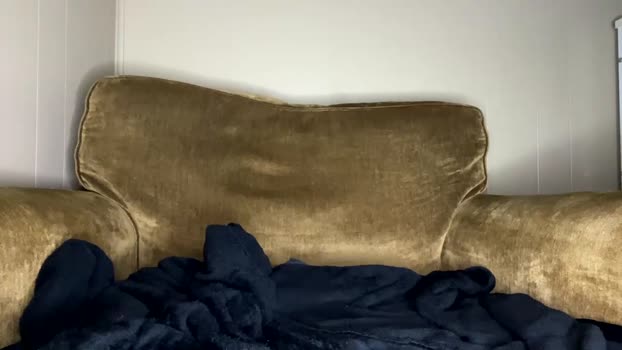 thickcockblacklightskin 28-02-2025 video kiss