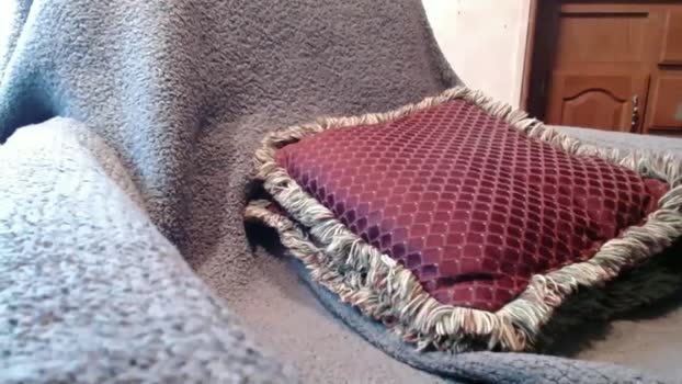 bigdickdaddy567130413 01-03-2025 video fuckass