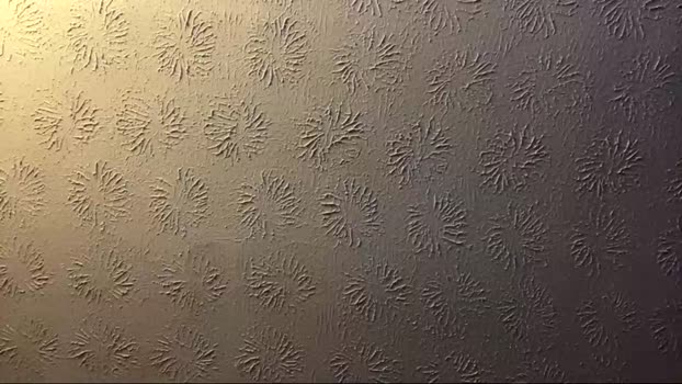 ibl49 01-03-2025 video sexybody