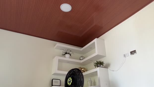 maximohoot 28-02-2025 video spanking