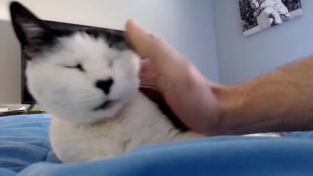 lancehardin 04-03-2025 video spank