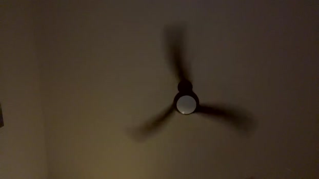 hungkingg222 11-03-2025 video lovense