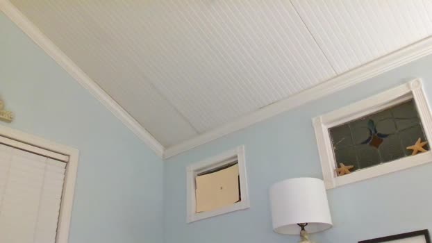 gaotter 14-03-2025 video suck