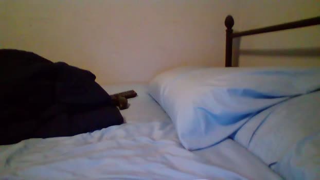 bobby72738 17-03-2025 video bigass