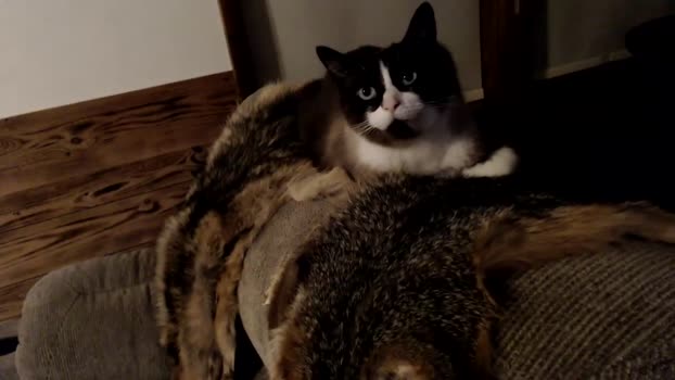 lancehardin 17-03-2025 video deep