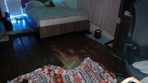 _purrari 17-03-2025 video bigtoys