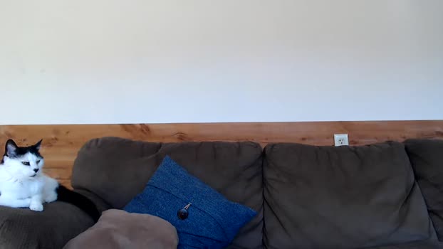 lancehardin 18-03-2025 video wank