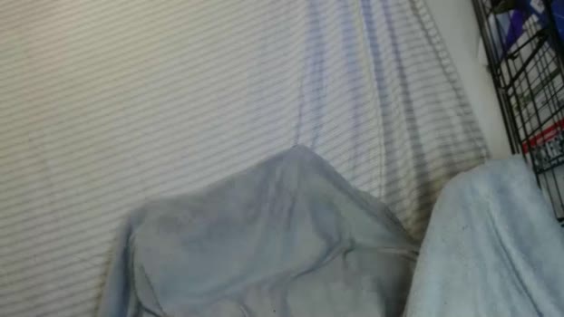 ogdigbick 18-03-2025 video sex