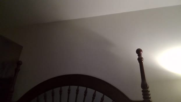 mdavis1six 21-03-2025 video lovense