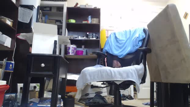 gamingboner 26-03-2025 video toys