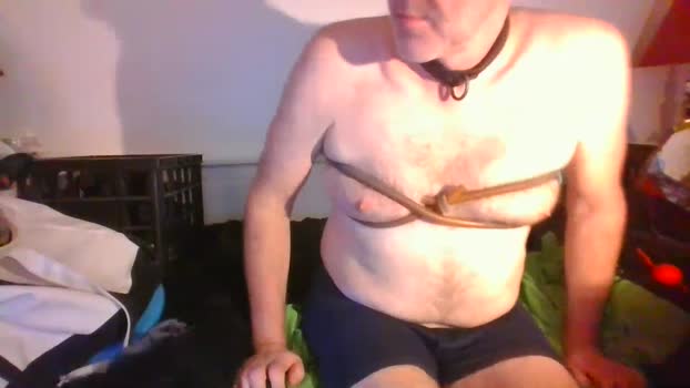 malebdsmslut 28-03-2025 video analtoy