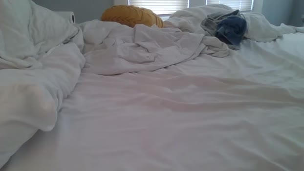 govle 28-03-2025 video suckshow