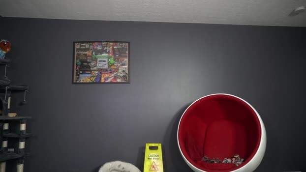 sydaffect 01-04-2025 video sweet