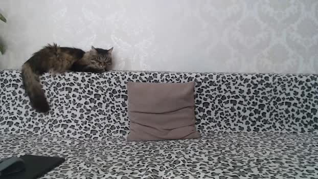 your_friend555 01-04-2025 video kinky