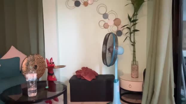 2bigcocksforu 02-04-2025 video moan