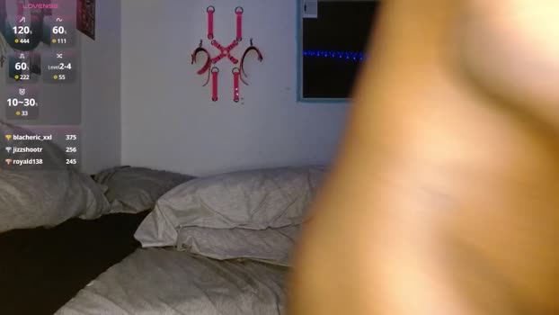 graybackwoods 02-04-2025 video lick