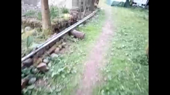 info_chat 05-04-2025 video kiss