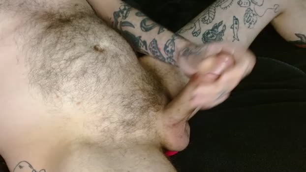 fuddog 09-04-2025 video beauty