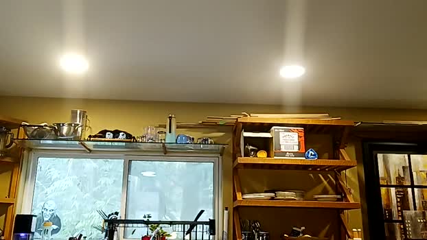 info_chat 11-04-2025 video dirty