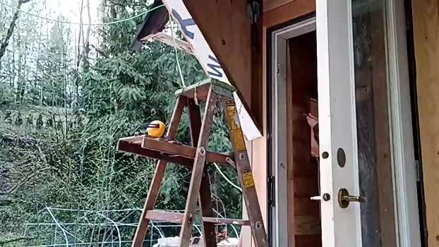 info_chat 12-04-2025 video playtime