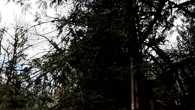 info_chat 12-04-2025 video sexyfeet