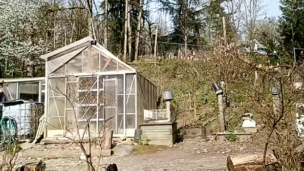 info_chat 14-04-2025 video hardcock