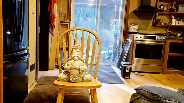 info_chat 14-04-2025 video beauty