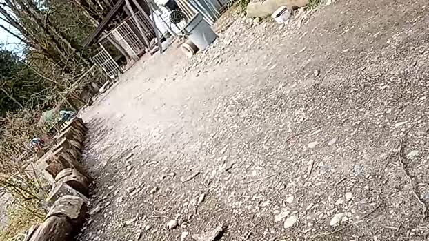 info_chat 14-04-2025 video play