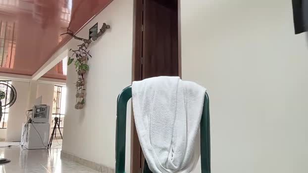 maximohoot 17-04-2025 video Naked