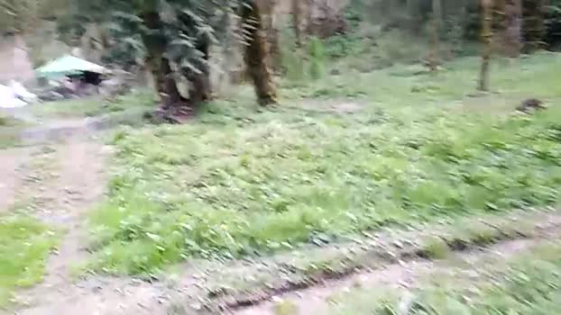 info_chat 20-04-2025 video Download