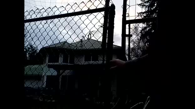 info_chat 20-04-2025 video playtime