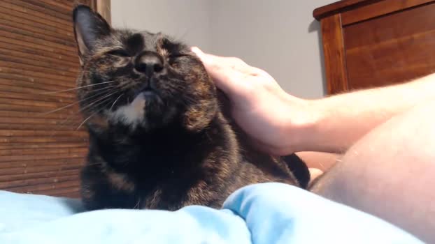 lancehardin 21-04-2025 video bigass