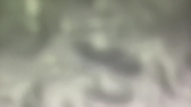 daddys_9x6___ 23-04-2025 video kink