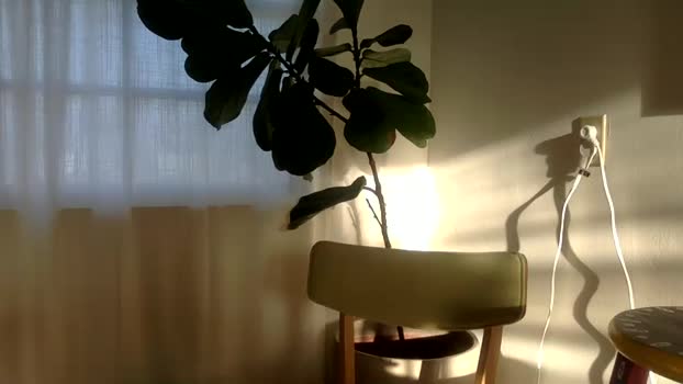 lolwhatwut 23-04-2025 video squirt