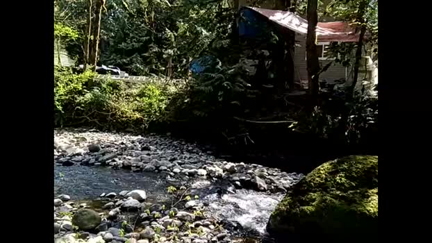 info_chat 23-04-2025 video Webcam