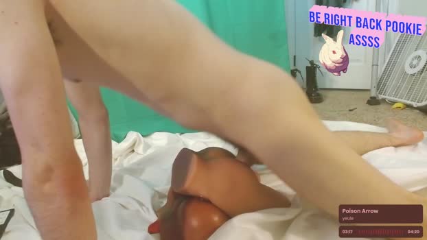 cokia_ 25-04-2025 video sexykitty