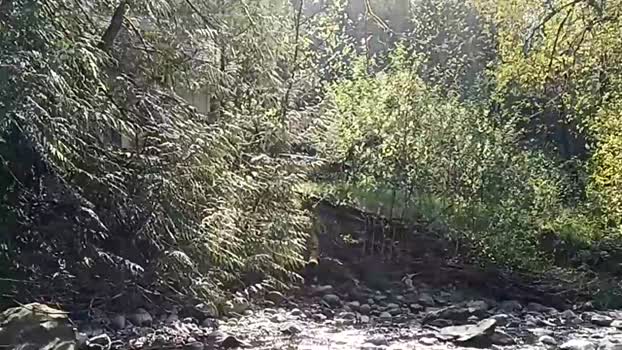 info_chat 25-04-2025 video harddick