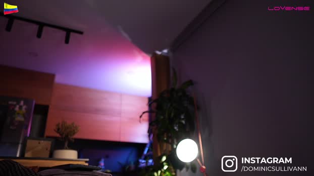 dominic_sullivan1 26-04-2025 video kinky