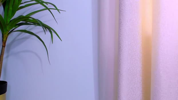 latin_naight 26-04-2025 video nude