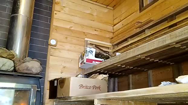 info_chat 28-04-2025 video bicurious