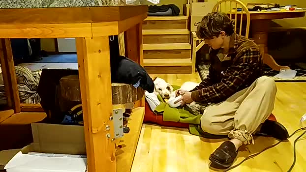 info_chat 29-04-2025 video hot