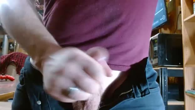 poison_sting 29-04-2025 video strip