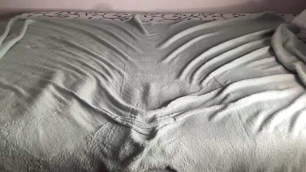 bestdick1991 30-04-2025 video fuckass