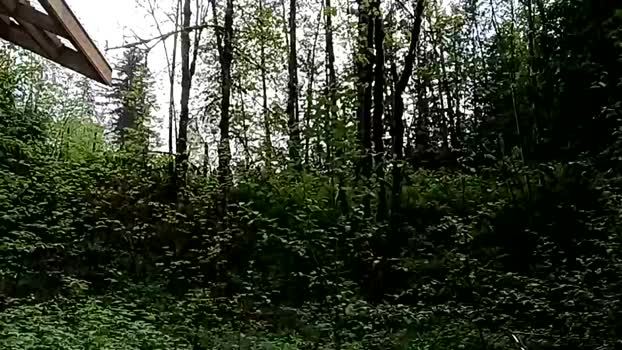 info_chat 30-04-2025 video beauty