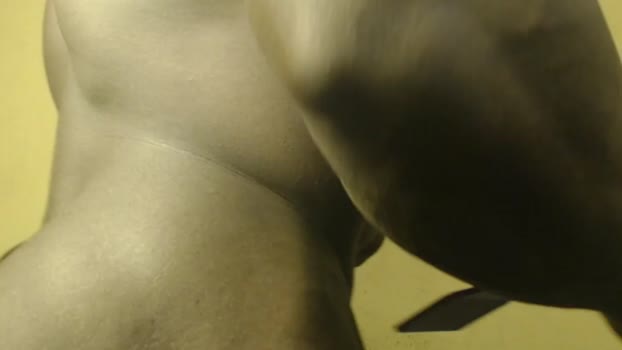 musclegodsammy23 01-05-2025 video cute